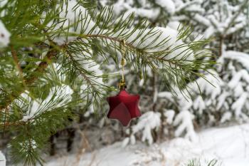 Christmas Star shaped Decoration hanging on snowy pine branch