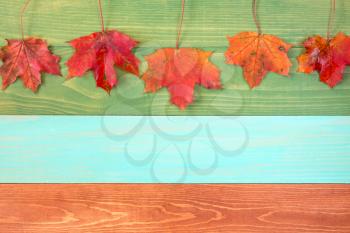 Autumn maple leaves hanging over wooden background