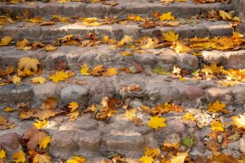 Autumn season  in the city park, concrete stairs strewn with fallen leaves