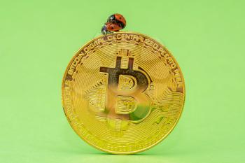 Couple of ladybugs on a bitcoin coin. Concept for making money.