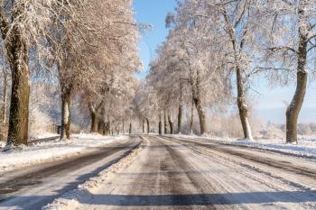 Winter road and snow with landscape of trees with frost 