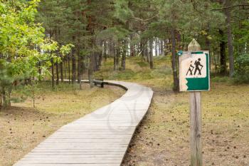Wooden foot path in the pine forest 