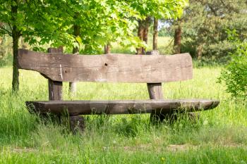 The empty wood bench in the park under the trees