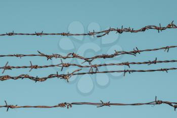 Barbed wire fencing against a blue sky background. Filtered image.