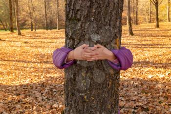 Child embracing tree trunk - environment protection concept