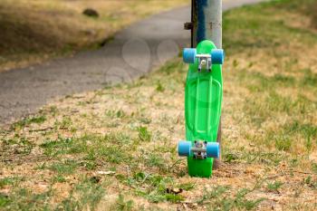 Abandoned skateboard at  park near the asphalt pathway
