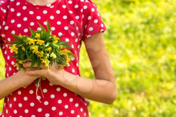 Children's hands holds small bouquet of wildflowers. Girl picking fresh flowers for mother's day
