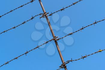 Barbed wire Fence on clear sky background