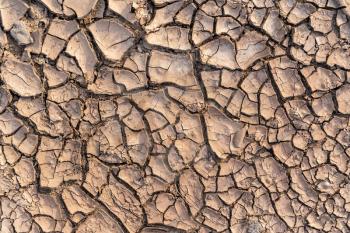 Top view of cracked dry soil ground texture for drought season background. Ecological disaster concept.