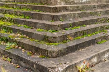Old stairs overgrown with green moss. Ancient staircase of an old building.