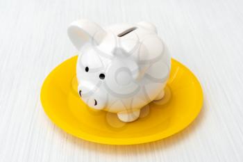 Savings consumer concept. Close up view of piggy bank on the plate 