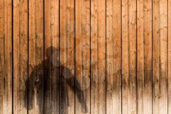 Shadow of a man on wooden background. Copy space.