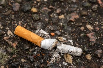 Cigarette butt thrown on the asphalt road