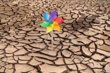 Colorful pinwheel on the arid soil from the heat. Concept of global warming