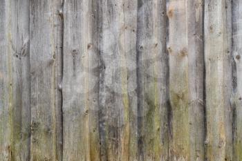 Timber wood wall plank vintage background. Wall of old barn.