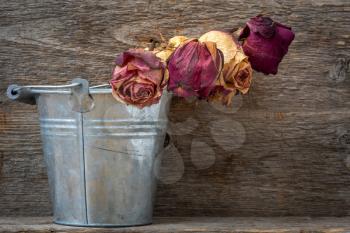 A bouquet of dead withered red roses in old shabby aluminium bucket 