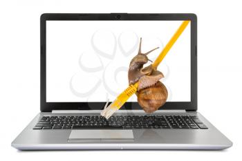 Laptop computer with a snail crawling on a yellow network cable. Slow internet concept.