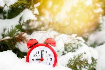 Alarm clock on the snow covered winter tree. Winter time concept.