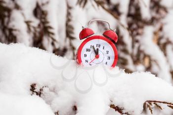 Alarm clock on the snow covered winter spruce