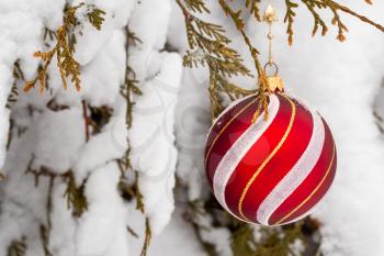 Red Christmas ball on a snow-covered tree branch 