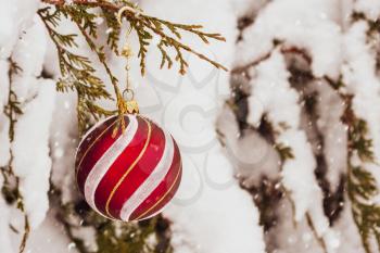 Winter christmas art background. Green spruce with Christmas red ball in white snow in a winter forest. 