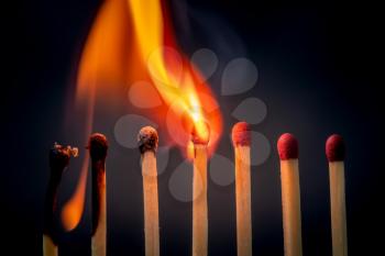A beauty of burning matches, isolated in dark background. Fire styling. Burning match setting fire to its neighbors, a metaphor for ideas and inspiration