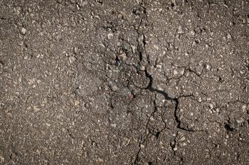 Forces of nature break through the asphalt.Background of cracked asphalt texture
