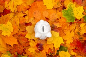 Piggy bank with colorful autumn foliage. Top view.