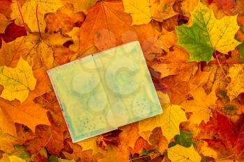 Old open book with colorful autumn leaves - seasonal relax concept 