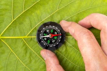 Man discovering nature with compass on the leaf background, travel lifestyle concept