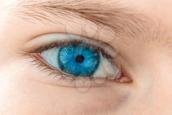 Child's blue eye. Macro with shallow depth of field.