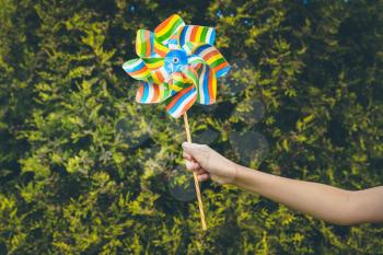 Colourful pinwheel windmill on a hand with nature background