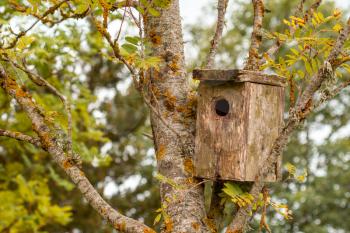 A small wooden box for birds in a tree in the summer. Old bird house hanging on a tree. Handmade birdhouse.