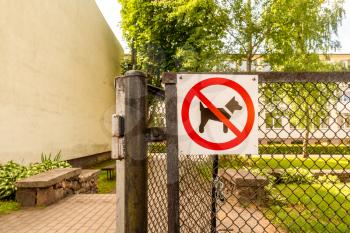 No dogs allowed sign on a metal gate. No dogs sign on fence.