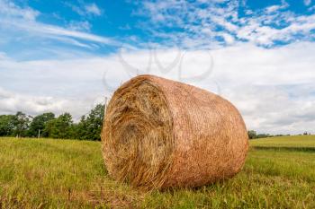 Close-up of a big round hay bale roll in a green field
