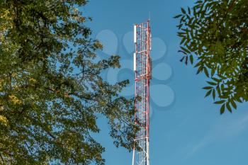 High speed internet signal tower visible through the green trees foliage