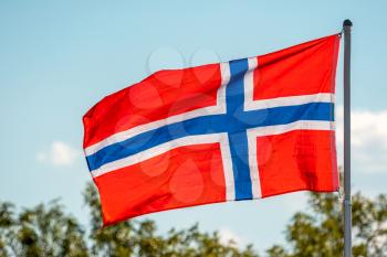 Norway flag blowing in the wind with a nature background