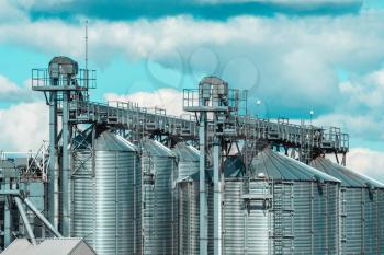 Agricultural Silo. Set of storage tanks cultivated agricultural crops processing plant. Storage and drying of grains, wheat, corn, soy, hay.