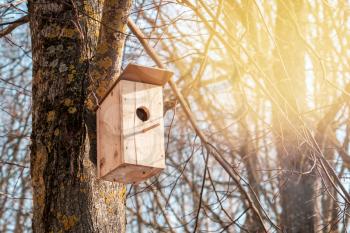 Small wooden box for starlings in a tree in the spring time