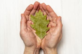 Hands with dry leaf. Concept for life balance , wellness, mediatation.
