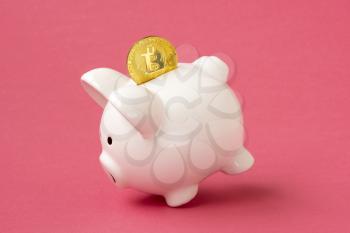 Bitcoin in a piggy bank on a pink background. Storing money in digital currency.