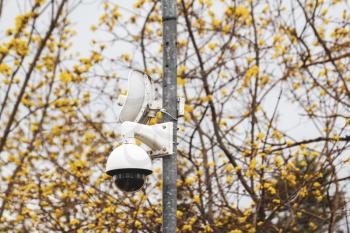 Video security system on a pole with spring trees background