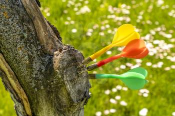 Multi-color darts hitting a tree trunk, summer time leisure or recreation.