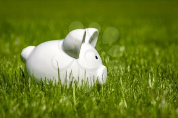White piggy on grass background for money saving