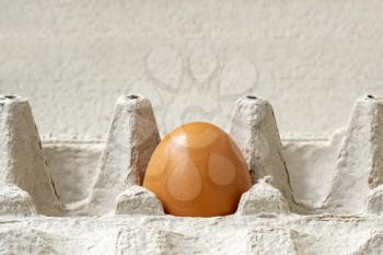 One brown egg in a cardboard egg carton , close-up view