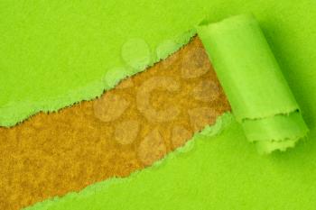 Green paper torn to reveal golden background  ideal for your text