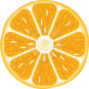 Royalty Free Clipart Image of a Citrus Fruit