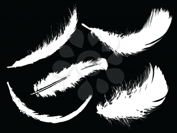 Royalty Free Clipart Image of Feathers