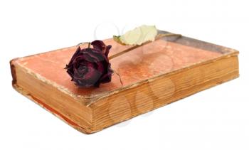 Rose on the closed book on white background