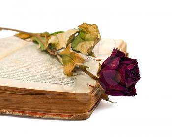 Old open book with dry rose